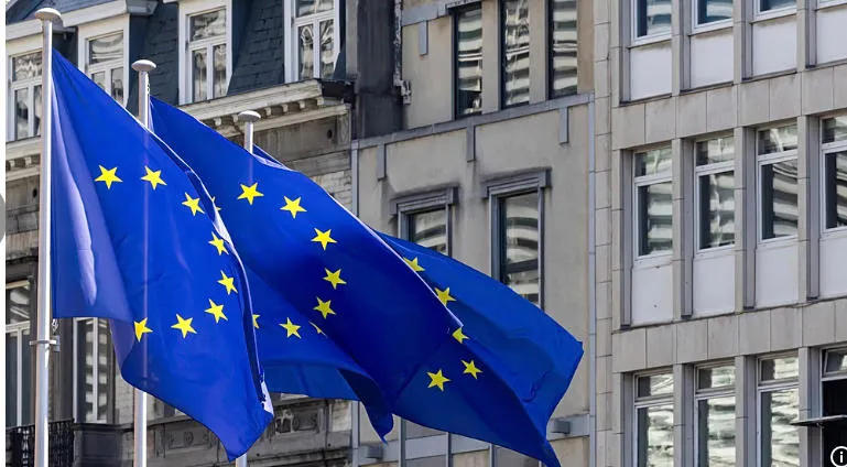 EU report - Human rights in Georgia in 2025 severely curtailed by repressive actions and laws - political pluralism has been at risk